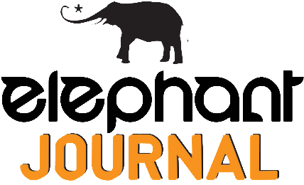 elephant logo